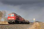 233 176-7 DBSR bei Marktleuthen am 25.02.2016.