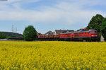 233 321-9 und 233 176-7 mit einem Güterzug bei Rothenstadt Richtung Schwandorf, 13.05.2015