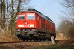 233 217 LZ kommt von der Bundeswehr zurck in den Bf. Hagenow Stadt. Kurz vor dem Bahnbergang Knigstrasse. 03/2007
 