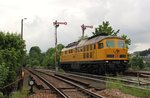 Am 03.06.16 brachte 233 493-6 einen Gleisschotterreinigungszug nach Bad Lobenstein.