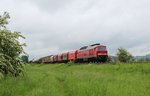 233 367-2 zu sehen mit einem Frankenwaldumleiter am 03.06.16 in Waldershof.