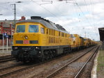 Am 09.07.2016 kam die 233 493 mit einem Schotterreinigungszug aus Richtung Magdeburg nach Stendal und fuhr weiter nach Salzwedel.