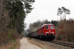 233 588 mit CS 60429 bei Langenbach (05.03.2007)