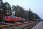 233 176 mit FZT 56520 in Kastl (14.03.2007)