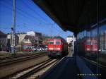 233 521-7 Lz Richtung Rostock am 27.03.2007 Stralsund Hbf