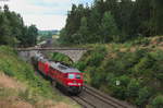 233 112-2 mit dem EZ 51722 von Nürnberg Rbf nach Seddin bei Pechbrunn, 28.07.2016