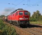 233 219-5 zieht einen gemischten Güterzug durch Leipzig-Thekla.