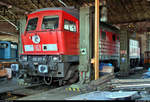 233 217-9 (132 217-1) der TrainLog GmbH steht anlässlich des 28.