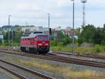 Train Log GmbH Ludmilla, 233 217-9 ( 9280 1233 217-9 D-TLVG ) auf der Durchfahrt in Gera am 3.8.2020