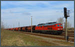 Mit dem Salzzug GC 60350 nach Wismar steht 233 112-2 am 09.04.2021 im Bahnhof Baalberge zur Abfahrt bereit.