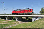 233 636-0 (232 636-1 | 132 636-2) als Tfzf bewegt sich am Ufer der Umflutehle auf den Bahnhof Biederitz zu.

🧰 DB Cargo
🕓 16.5.2022 | 11:32 Uhr