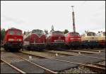 Neben der E- war auch die Dieseltraktion versammelt (v.l.n.r.) 233 525, V200 116, 218 387, 225 021 und 217 014 aus Oberbayern.