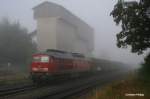 Nebelbild von 233 219, die am 10.08.2013 den umgeleiteten EZ 51683 durch Pechbrunn zog.