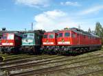 09.10.2010, Bw Weimar, Eisenbahnfest mit V300-Parade.