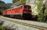 234 292 + 234 242  Geislinger Steige  25.05.04
