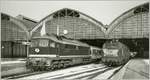 V 234 657-5 mit IR Rostock - Hamburg und V 218 261 in Lübeck Hbf am 9. Januar 1996.
Die farbige, nun bearbeitete Variante dieses Bildes ist unter der ID 135 710 zu sehen.
