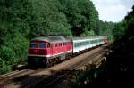 Am 8. August 1999 faehrt 234 597-3 mit einer Regionalbahn aus Zittau durch Waelder zwischen Arnsdorf und Radeberg.