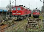 Zwei Güterzugslok warten in Lindau Hbf auf ihre Reisezüge.