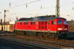 In der Abendsonne im Mrz 2005 prsentiert sich 241 353 in einem sehr fotogenen Zustand in Chemnitz Hbf.