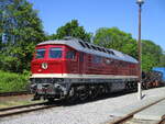 Seit 50 Jahre im Dienst die 142 001.Am 27.Mai 2026 stand die Lok in Putbus.