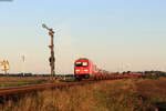 245 027 mit dem AS 1407 (Westerland(Sylt)-Niebüll) bei Lehnshallig 1.9.20