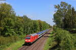 245 010 mit dem RE 11016 (Hamburg Altona-Westerland(Sylt)) bei Buchholz 30.5.21