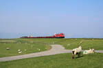DB 245 025 ist mit einem SyltShuttle von Westerland(Sylt) nach NIebüll auf dem Hindenburgdamm unterwegs und erreicht hier gerade Festland.