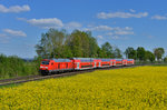 245 009 mit einem Sonderzug am 07.05.2016 bei Langenisarhofen. 