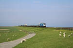 247 909 erreicht mit dem RDC Autozug von Westerland(Sylt) nach Niebüll das Festland über den Hindenburgdamm.