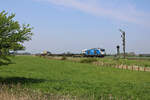 247 909 erreicht mit dem RDC Autozug von Westerland(Sylt) nach Niebüll den Betriebsbahnhof Lehnshallig. (15.05.2023)