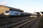 247 901 mit dem Rheingold-Zug in Wernigerode; 08.11.2014
