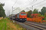 250 008 der hvle führte am 12.10.25 den Kalkzug nach Spreewitz in Wittenberg-Labetz vorbei am herbstlich gefärbten Farn Richtung Falkenberg(E).