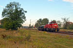 261 044 schleppte am 29.09.20 einen Flachwagen, beladen mit zwei Drehgestellen, durch Jütrichau Richtung Roßlau.