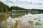 264 001 mit einem Kesselwagenzug nach Bitterfeld bei Wiesau, 25.08.2017