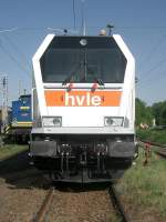 Eine Lok scheint die bahnbilder-Gemeinde zu spalten: 264 004-3 der hvle beim Tag der offenen Tr im Rbf Wustermark, 2009-05-01.