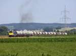 Ein Gterzug verlsst am 17.07.2013 die Industrieanlage in Bad Wurzach, hier befindet sich der Zug auf dem Weg nach Rosberg, dort wird Kopf gemacht, dann geht es ber Aulendorf und Ulm zum Endziel des Zuges, ....