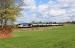 264 001 zu sehen am 26.04.16 mit einem Kesselzug an der Schöpsdrehe bei Plauen/V.