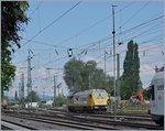 In Radolzell (Bodensee) ist für Gleisbauarbeiten Richtung Singen eine Wiebe Voith Maxima stationiert.