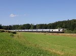 Die 247 031 mit einem Kesselzug am 01.07.2016 unterwegs bei Kastl.