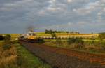 2016 befuhr der Zement-Express genannte Ganzzug eine Zeit lang die Schiefe Ebene. Hier sehen wir die  Class  in der Morgensonne bei Marktschorgast in der Kurve auf Münchberg zu fahren. Rechts im Bild der letzte von 36 Wagen..... Foto vom 30.09.2016.