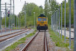 CLASS 66 Freightliner PL in Bergen auf R�gen abgestellt. - 15.05.2026 - Aufnahme am Gleisbogen der Ladestra�e.