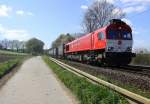 Die Class 66 DE6310  Griet  von Crossrail kommt die Gemmenicher-Rampe herunter nach Aachen-West mit einem langen Containerzug aus Zeebrugge-Ramskapelle(B) nach Milano(I).
Aufgenommen an der Montzenroute am Gemmenicher-Weg bei schönem Frühlingswetter am 18.4.2015.