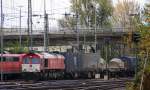 Die Class 66 DE6310  Griet  von Crossrail kommt  aus Richtung Montzen/Belgien mit einem langen Ewals-Cargo-Care Containerzug aus Geleen-Lutterade(NL) nach Novara(I) und färt in Aachen-West ein.