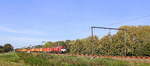 Die Class 66 PB13  Ilse  von Crossrail kommt mit einem MSC-Containerzug aus Antwerpen-Krommenhoek(B) nach Germersheim(D) und kommt aus Richtung Diest(B) und fährt durch Lummen-Linkhout(B) in Richtung Hasselt(B),Tongeren(B),Vise(B),Montzen(B),Aachen-West(D). Aufgenommen in Lummen-Linkhout(B). 
Bei schönem Herbstwetter am Mittag vom 13.10.2018.