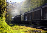 Ein Blick auf die Class 66 266 026-4 von Railtraxx.