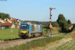 273 014 am Einfahrhauptsignal Löffingen Richtung Neustadt, 22.08.2015.