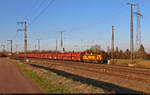 275 210-3 (Lok 210 | Vossloh G 1206) übernimmt einen Kohlependel vom Kraftwerk Schkopau (Buna-Werke) nach Wählitz, wo die Wagen wieder mit Braunkohle bestückt werden.
Soeben ist der hier noch alltägliche Zug durch den Bahnhof Großkorbetha gefahren.

🧰 Mitteldeutsche Eisenbahn GmbH (MEG)
🕓 28.3.2025 | 17:24 Uhr