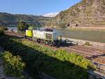 Diesellok vom Typ Mak G 1206, 1116 von Captrain Deutschland (92 80 1275 023-0-D-RBB), in Oberwesel, am 10.9.2025 um 17:08 Uhr.