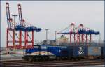 Der erste Containerzug am Jade-Weser-Port steht zur Erffnung mit der 275 503-1 der EVB bereit.Im hintergrund zu sehen, das erste offizielle Containerschiff Maersk Laguna.