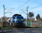 Die NIAG Lok 6 kam am 11.4.16 mit Kohlestaubwagen durch Grevenbroich Richtung Rommerskirchen gefahren.